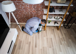 Desinsectisation Gouvernes 77400